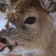 Image for article titled The 100 Most Popular io9 Posts of 2015